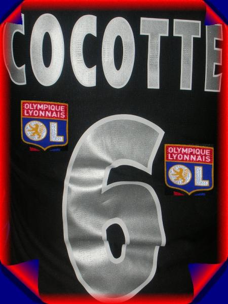 Cocotte 6
